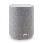 Harman Kardon Citation ONE Wireless Smart Speaker - Gray